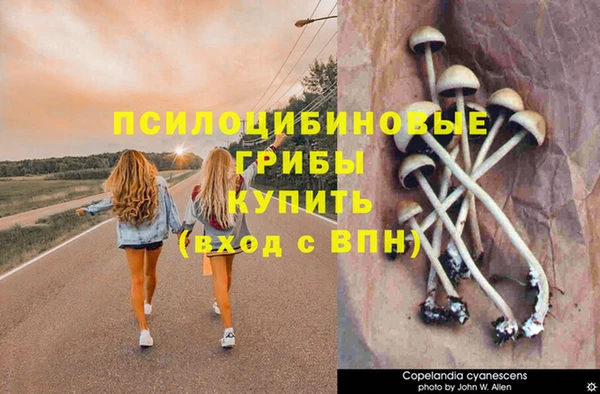 ПСИЛОЦИБИНОВЫЕ ГРИБЫ Заволжск