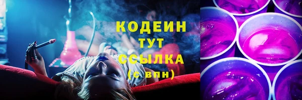дмт Заводоуковск