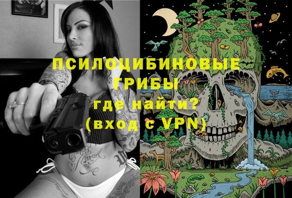 дживик Заволжье