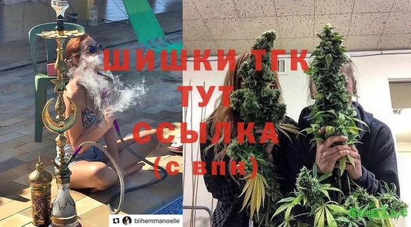 ПСИЛОЦИБИНОВЫЕ ГРИБЫ Заволжск