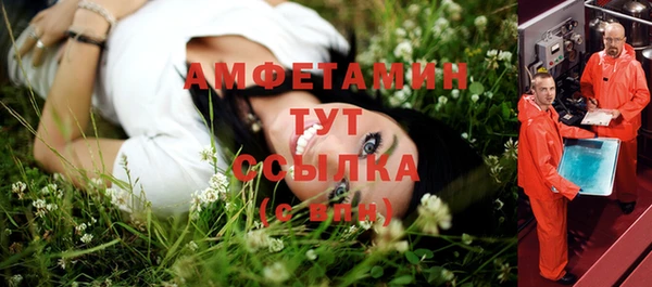 дмт Заводоуковск
