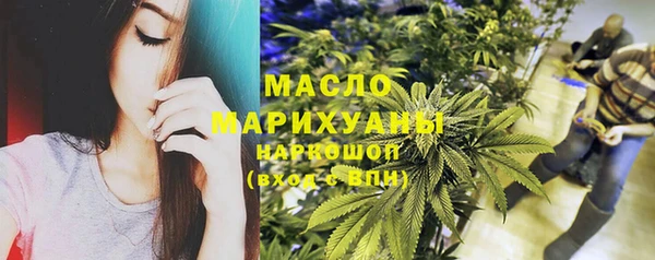 дмт Заводоуковск