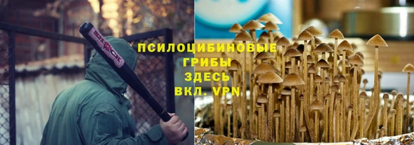 ПСИЛОЦИБИНОВЫЕ ГРИБЫ Заволжск